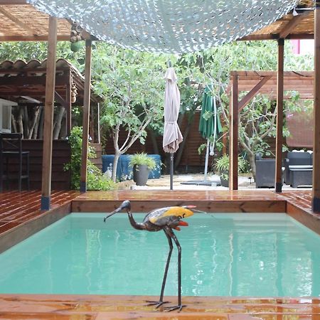 Bed and Breakfast Les 2 Droles D'Oiseaux Luc-sur-Orbieu Exterior foto